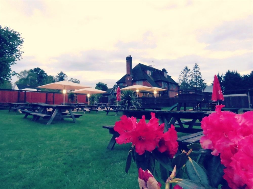 The Star Inn Lingfield Zewnętrze zdjęcie